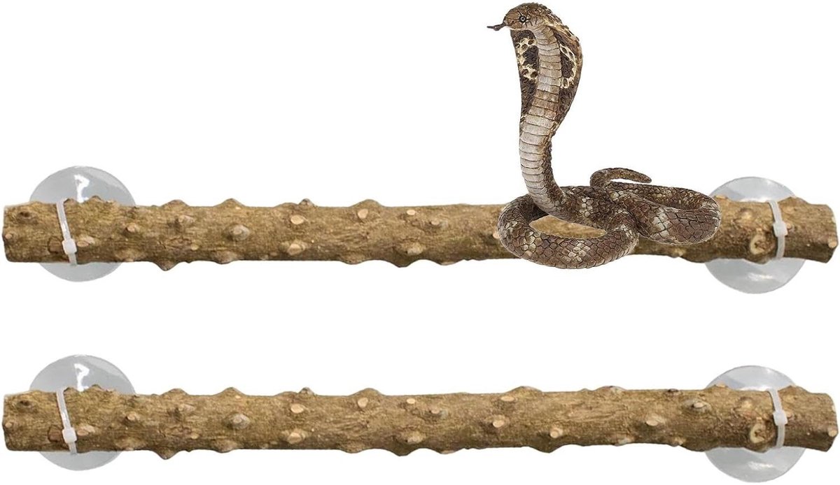 Reptielen Klimtak - Hagedis Terrariumtak - Natuurlijke Habitat - Inclusief Zuignappen - 2 Stuks - Natuurlijk
