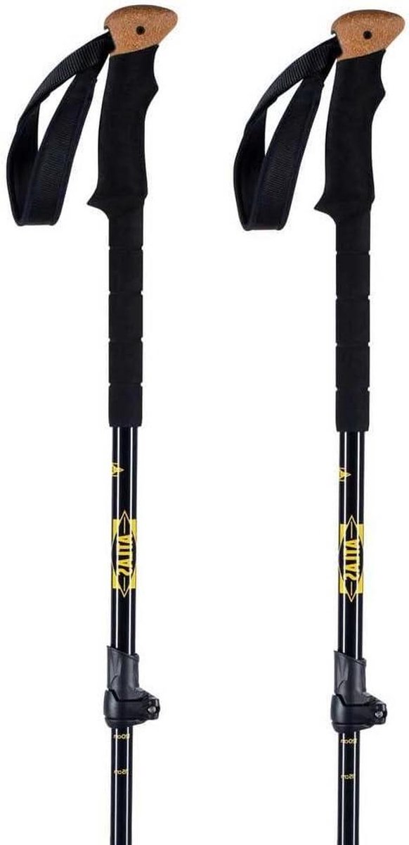 Wandelstokken - Trekkingstokken - Stabiliteit Buiten - Verstelbaar Vergrendelingsmechanisme - 140 cm - Zwart