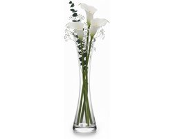 SnelShoppen - Volumoon Glass Flower Vase 25 cm Hoog - Duidelijk Glas Vaasje - Smal Hoog Glas voor Pampas Gras, Tulpen, Orchideeën, Rozen, Droogbloemen