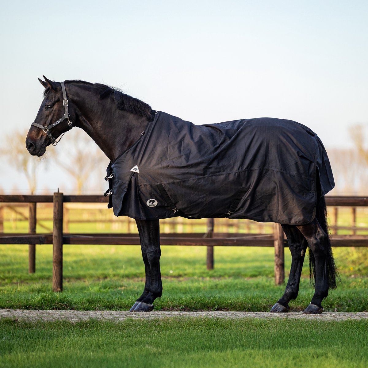 Master 1200D Outdoor Paardendeken 250g - Antraciet, Maat 195