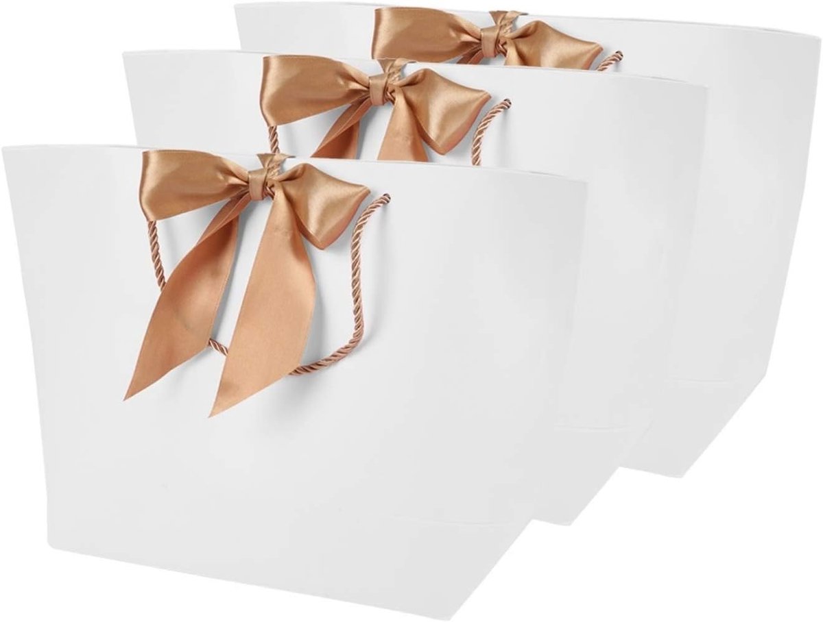 Set van 10 Cadeautassen met Handvatten en Lint – Papieren Feesttassen voor Souvenirs, Kleding en Winkelen