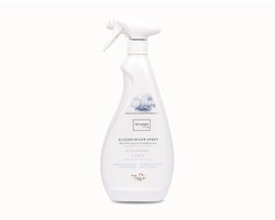 Cleaning Fairy Allesreiniger Spray - The Laundry Story