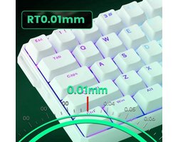 Mechanisch Toetsenbord – Gaming Keyboard – Compact Toetsenbord – 60% Keyboard – Bedraad Toetsenbord – CNC Aluminium – Ultraprecieze Triggerinstelling – 8000 Hz Polling Rate