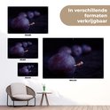 PDP.ProductImage.Thumb.Image.srtText 11