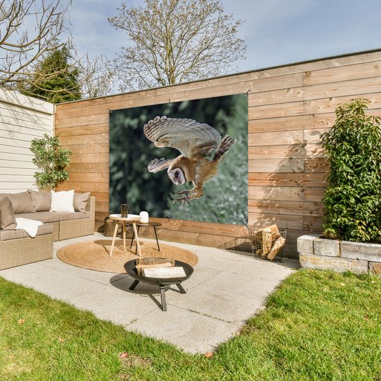Attaque chouette 160x120 cm XXL / Groot taille!