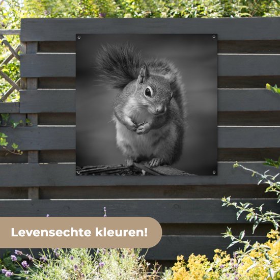 Curieux écureuil en noir et blanc affiche de jardin en vrac 100x100 cm - Toile de jardin / Toile d'extérieur / Peintures pour l'extérieur (décoration de jardin)