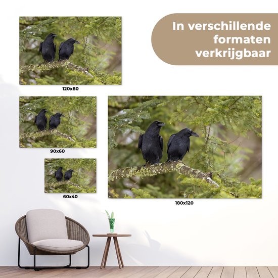 Deux corbeaux noirs sont assis ensemble sur une branche Affiche de jardin 90x60 cm - Toile de jardin / Toile d'extérieur / Peintures d'extérieur (décoration de jardin)