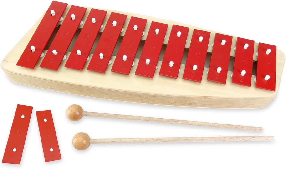 Glockenspiel met 10 tonen voor kinderen en muziekonderwijs