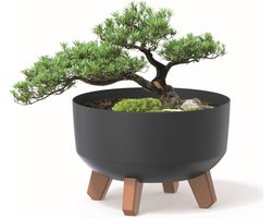 Plantenbak op poten - Bloempot mat - Binnen en buiten - Inclusief inzetstuk - D 23.5 cm - Antraciet