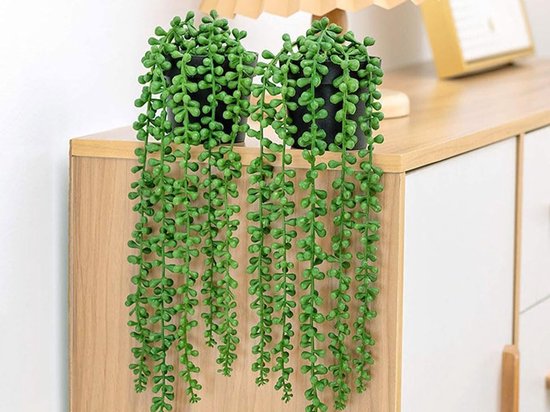 Deux fausses plantes vertes aux feuilles rondes suspendues au bord d'un buffet.