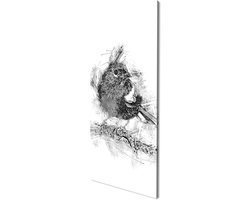 Robin Robin Panorama 100x50cm Effect: Black/White as Canvas Image, Motif Fully Framed on Real Wooden Frame, High Quality Digital Print with Frame
