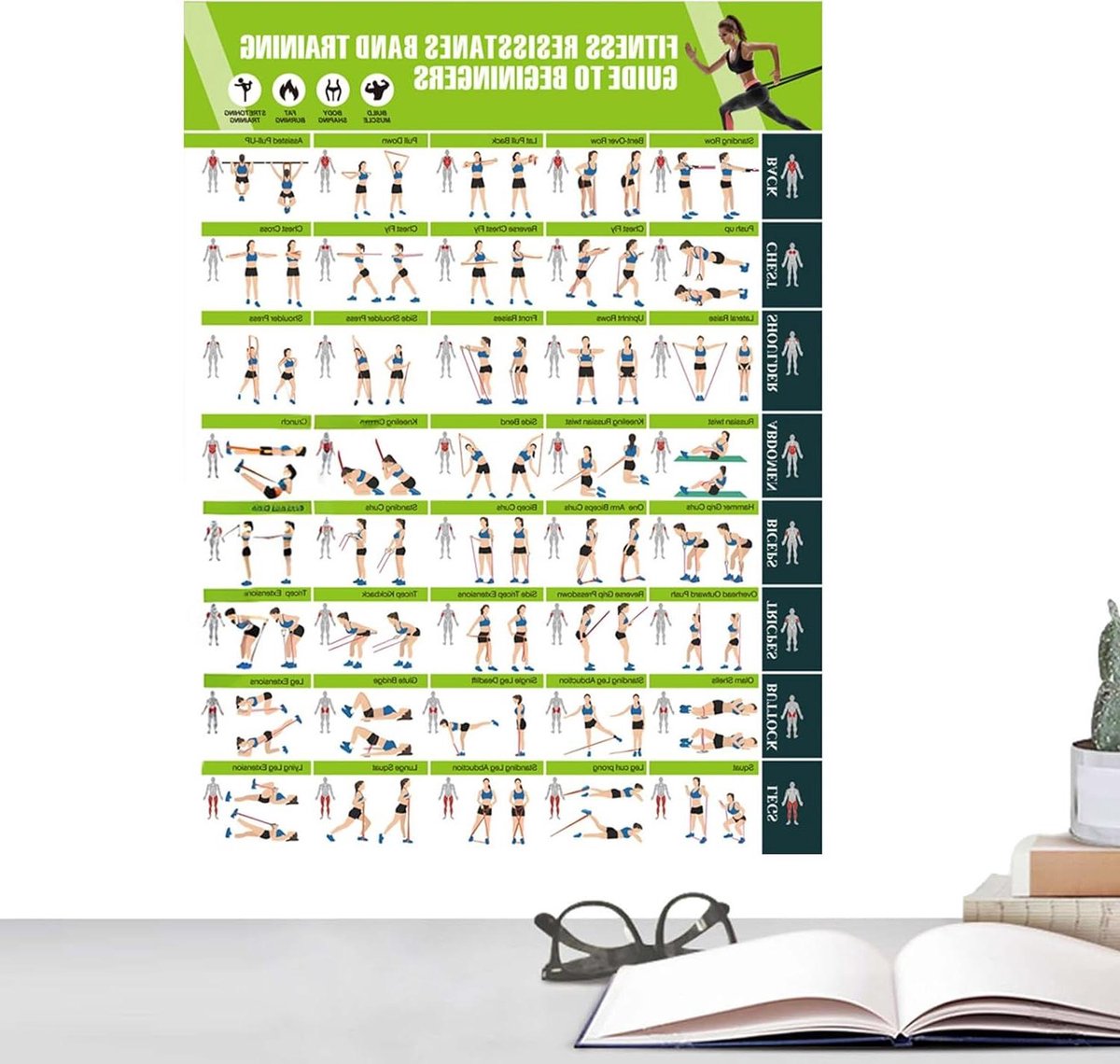 Workout Poster - Oefentabel Fitness - Spieropbouw Thuis - Geïllustreerde Oefeningen - 42.8 x 57.4 cm - Wit