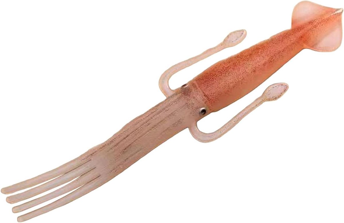 Inktvisvork - Grappige keukenhulp - Pasta serveren - Hittebestendig siliconen - 20 cm - Wit