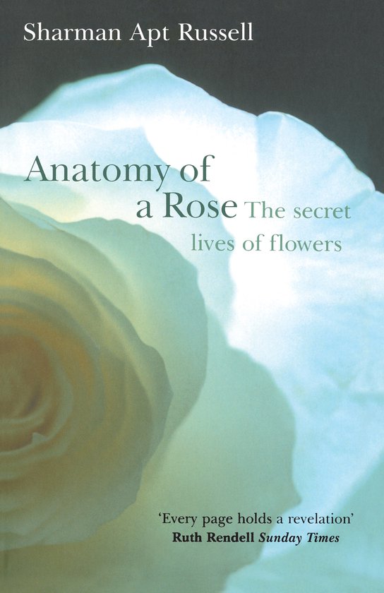 Anatomy Of A Rose - cover