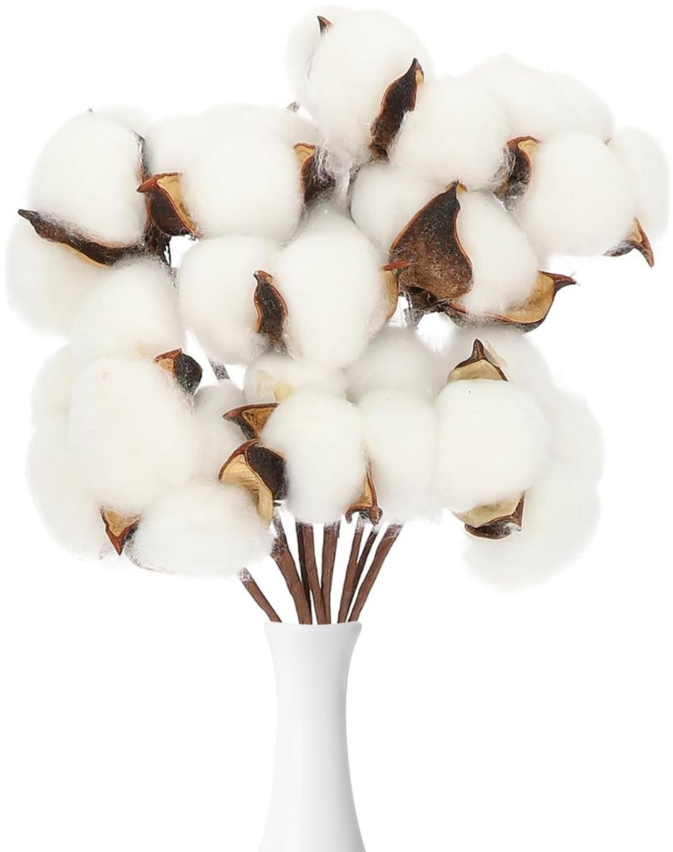 Dailygoods- Decoratieve Tak - 10 Stuk Witte Katoenen Tak Picks - Kunstplant - Onderhoudsvriendelijk - Unieke Vorm - Flexibele Bloemsteel - Kunstbloem