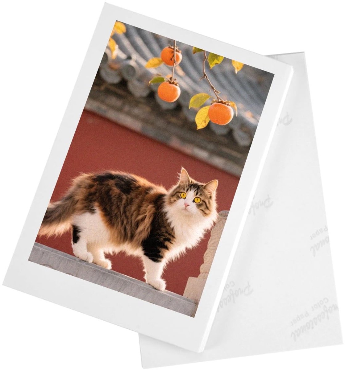 Dailygoods- Fotopapier 100 vellen - 10 x 15 cm - Glanzend - Inkjet fotopapier - Hoogglans - Sneldrogend, duurzaam oppervlak - Afdrukpapier