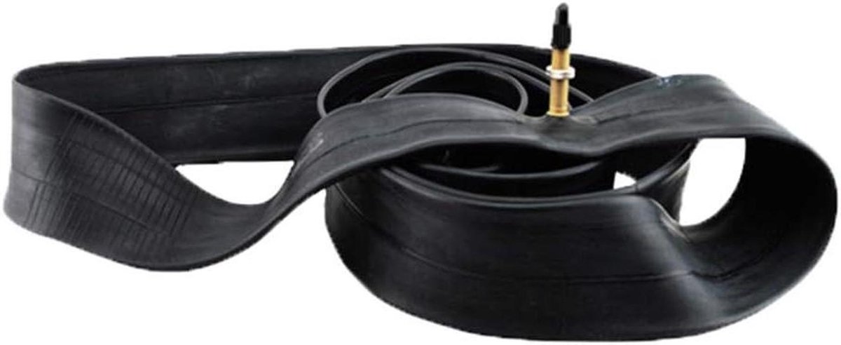 POENVFPO 2 Stuks Schraderventiel Binnenbanden 20 Inch Duurzaam en Eenvoudig Te Installeren voor 20 Inch Fietswielen en Staande Fietsen