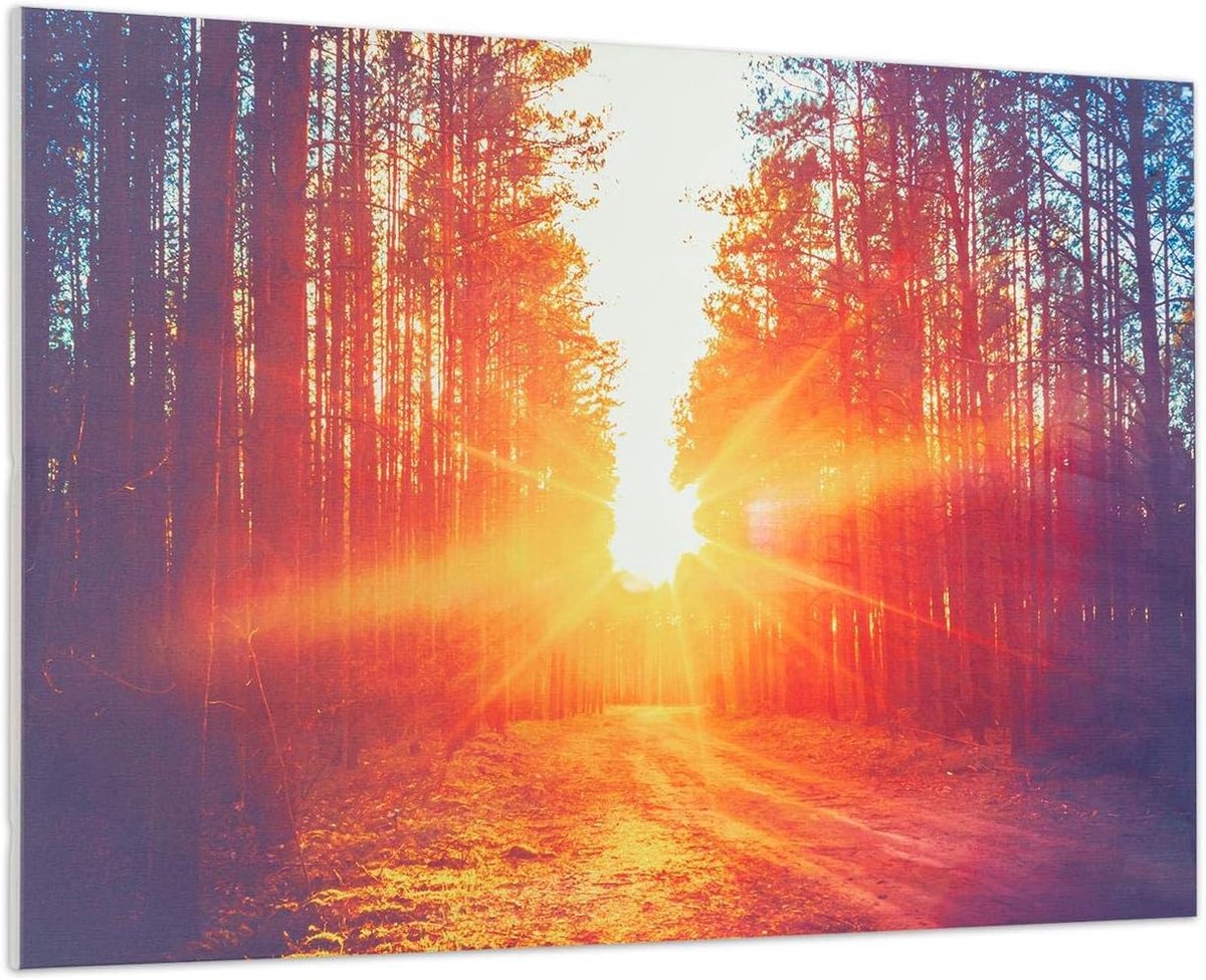 Infrarood Paneel - Design Verwarming - Ruimte Verwarmen - Open Window Detectie - 90 x 60 c