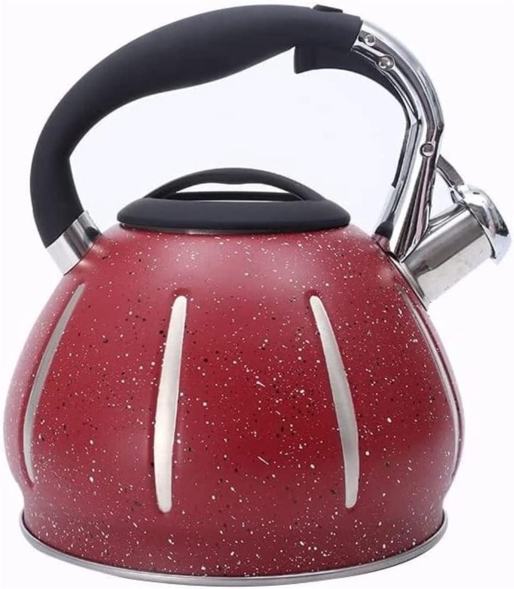 Fluitende Waterkoker Theeketel Ketel Water Koken Roestvrij Staal 3 Liter Zilverkleurig