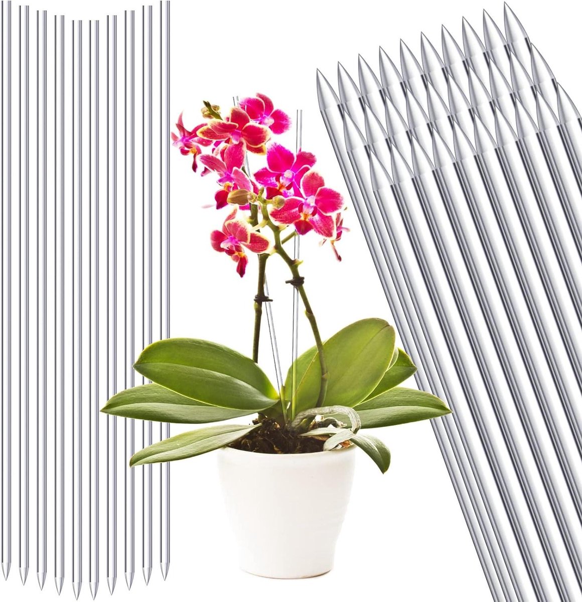 Plantensteunen - Tuinstokken - Planten Ondersteunen - Herbruikbaar Acryl - 30 Stuks 15.6 Inch - Transparant