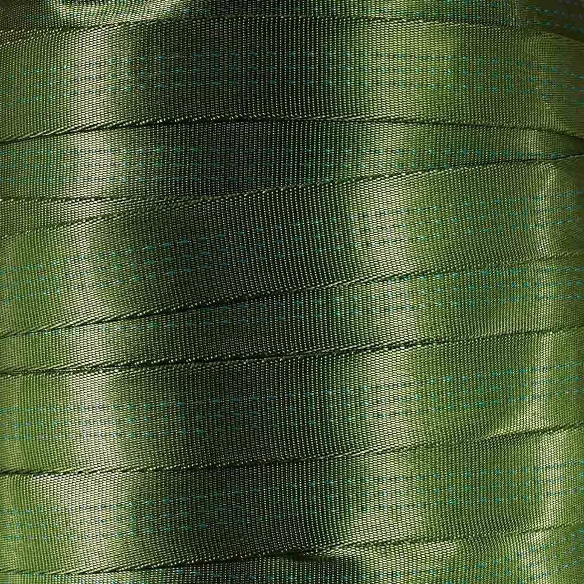 Nylon Singelband - Buissingelband Buitenklimmen - Vracht Zekeren - Hoge Breeksterkte - 10 Yards - Kiwi