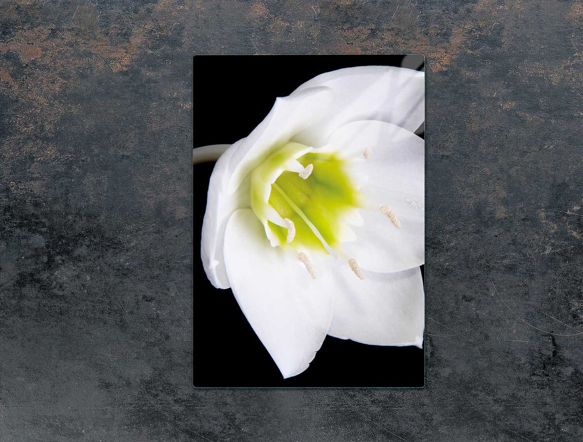 TMK ArtDeko - Snijplank - Glas - 35x52 cm - Orchidea