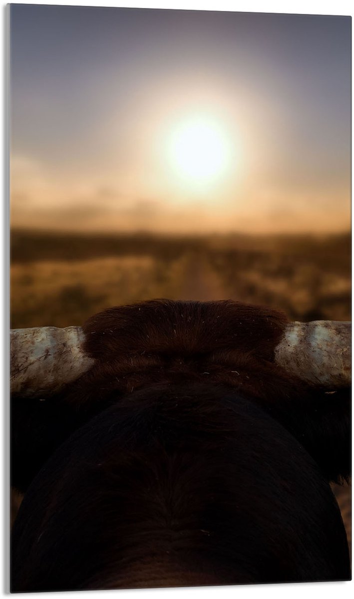 TMK ArtDeko - Snijplank van Gehard Glas - 30x52 cm - Zonneprint - Veilige Werkoppervlakken