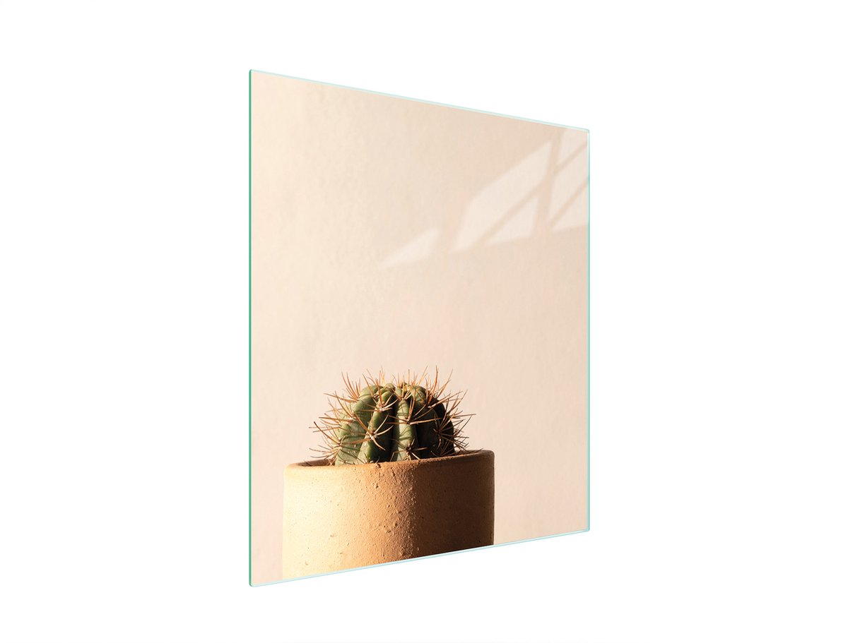 TMK ArtDeko - Snijplank van glas - 45x52 cm - Bescherming - Kaktus