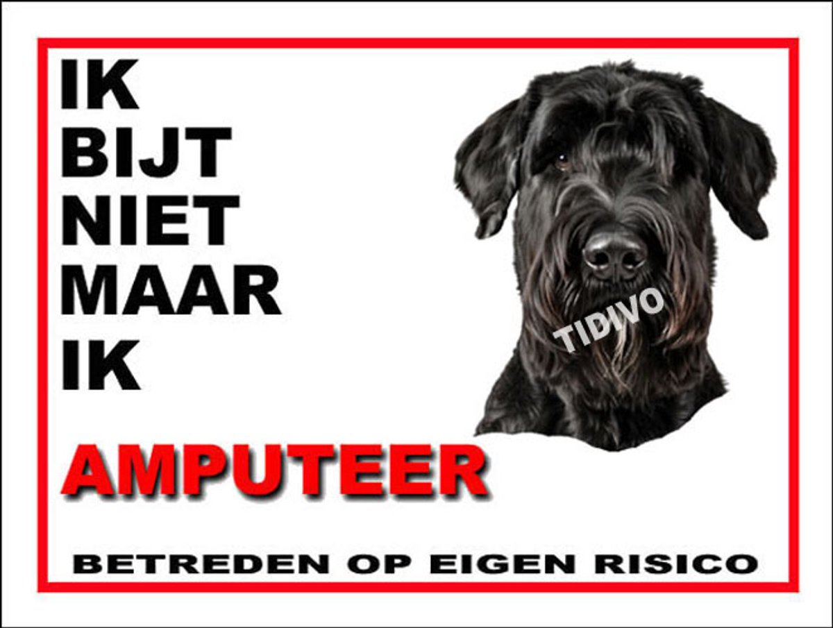 Riesenschnauzer 5