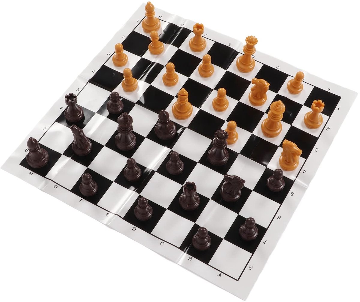Dailygoody - Internationale Standaard Schaakspelset - Kunststof Schaakspel - Ideaal voor Kamperen en Reizen - Compact Formaat - Perfect voor Beginners