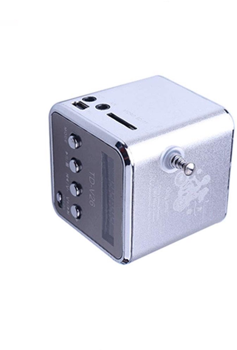 Dailygoods - Dailygoody - Digitale FM-radio - Draagbare luidspreker - Helder geluid - Zilver - MP3-muziekspeler - Ideaal voor vissen en kamperen