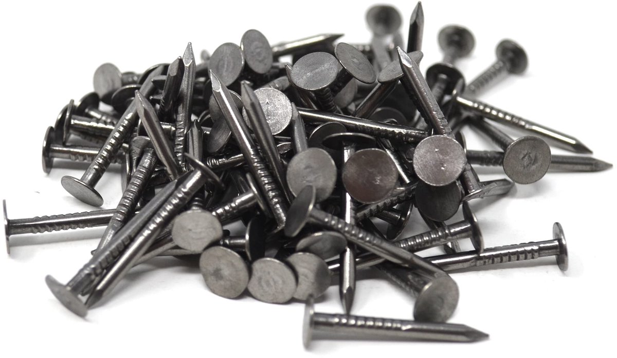 Dailygoods - Dailygoody - Bandpennen - Spijkers met Grote Ronde Kop - 125 Stuks - 22 mm - Ideaal voor Bevestigen - Lange Scherpe Punten