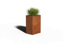 Cortenstaal Plantenbak Rechthoek | 40 x 30 x 60 | Zonder bodem