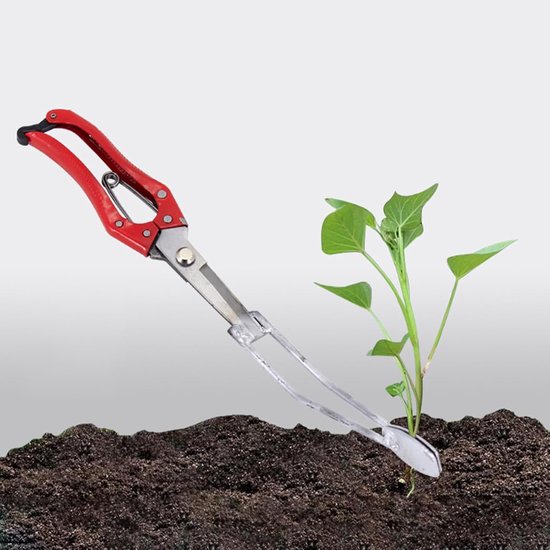 Gereedschap voor het planten van zoete aardappelen, handpons, plantgereedschap, terras, balkon, gemeenschap, stadslandbouw, accessoires voor het kweken van groenten in potten, 35,5 cm van Merkloos	 — afbeelding 5