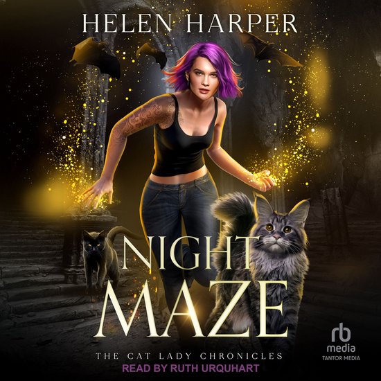 Night Maze - cover