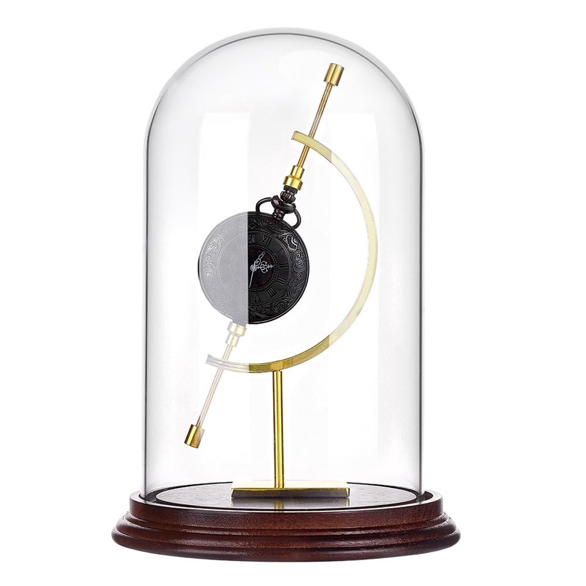 Dailygoods- Display Koepel 8,4 inch - Glazen Dome - Gouden Bolhouder - Houten Basis - Voor Horloges/Planten - Kwaliteitsglas