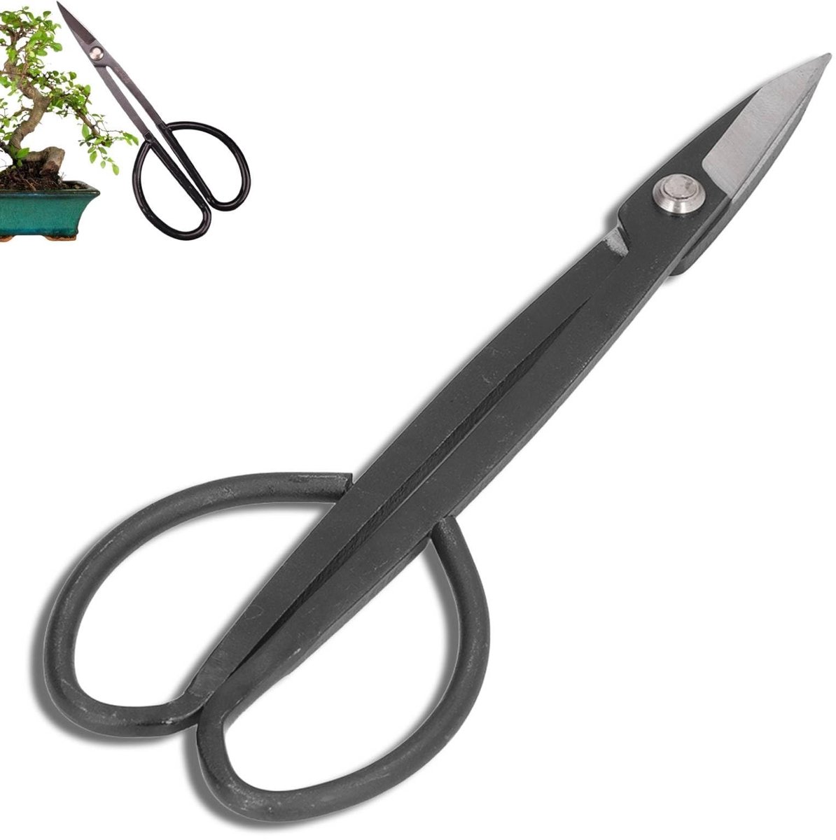 Dailygoods- Takkenschaar Scherp Staal - Bonsai/Snoeischaar - Multifunctioneel - Voor Bloemen/Planten - Eenvoudig in Gebruik - Schone Snit