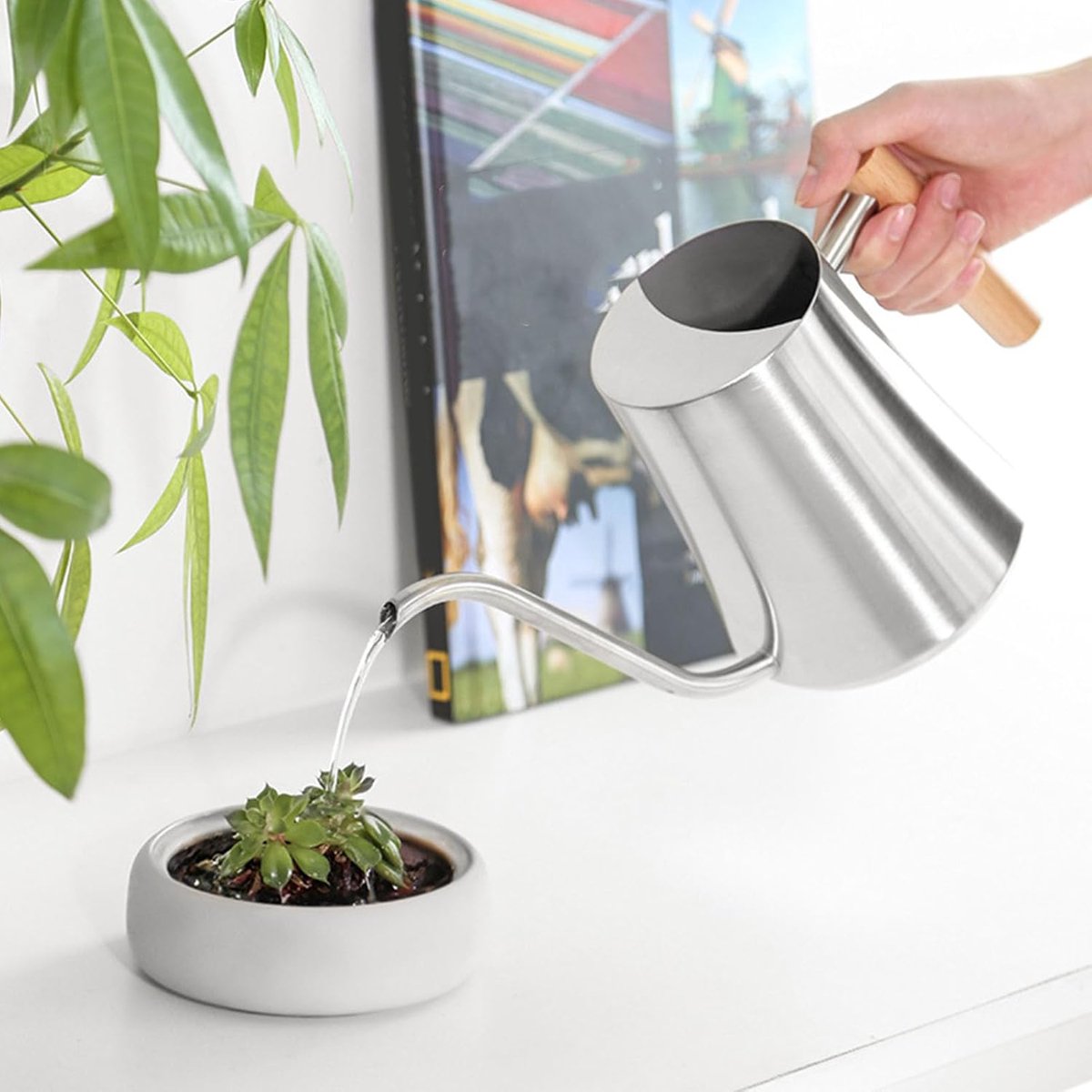 Roestvrijstalen gieter - Waterkannetje binnen - Planten water geven - Lange dunne schenktuit - 1 liter - Mat
