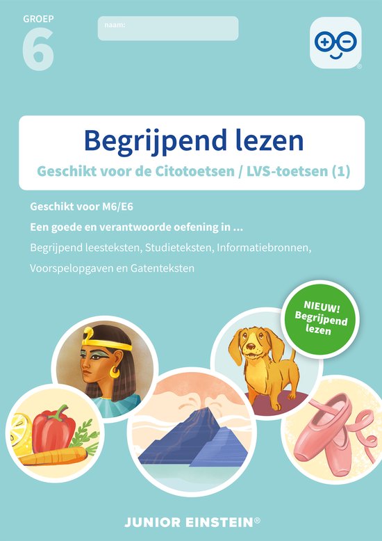 Begrijpend lezen Groep 6 Oefenboek (1) - cover