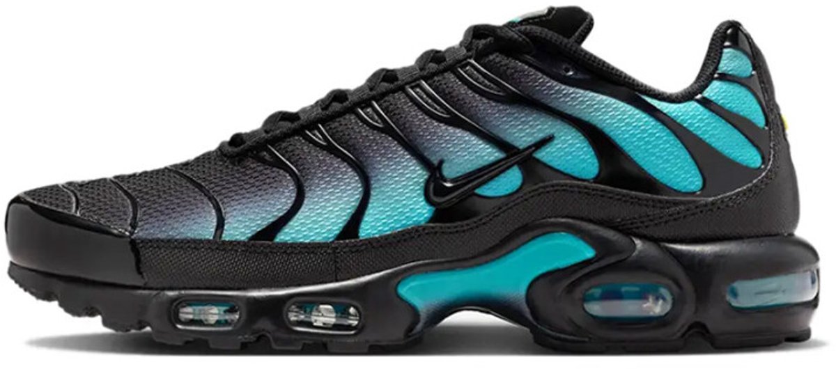 Nike Nike Air Max Plus Dusty Cactus Sneakers Unisex Zwart