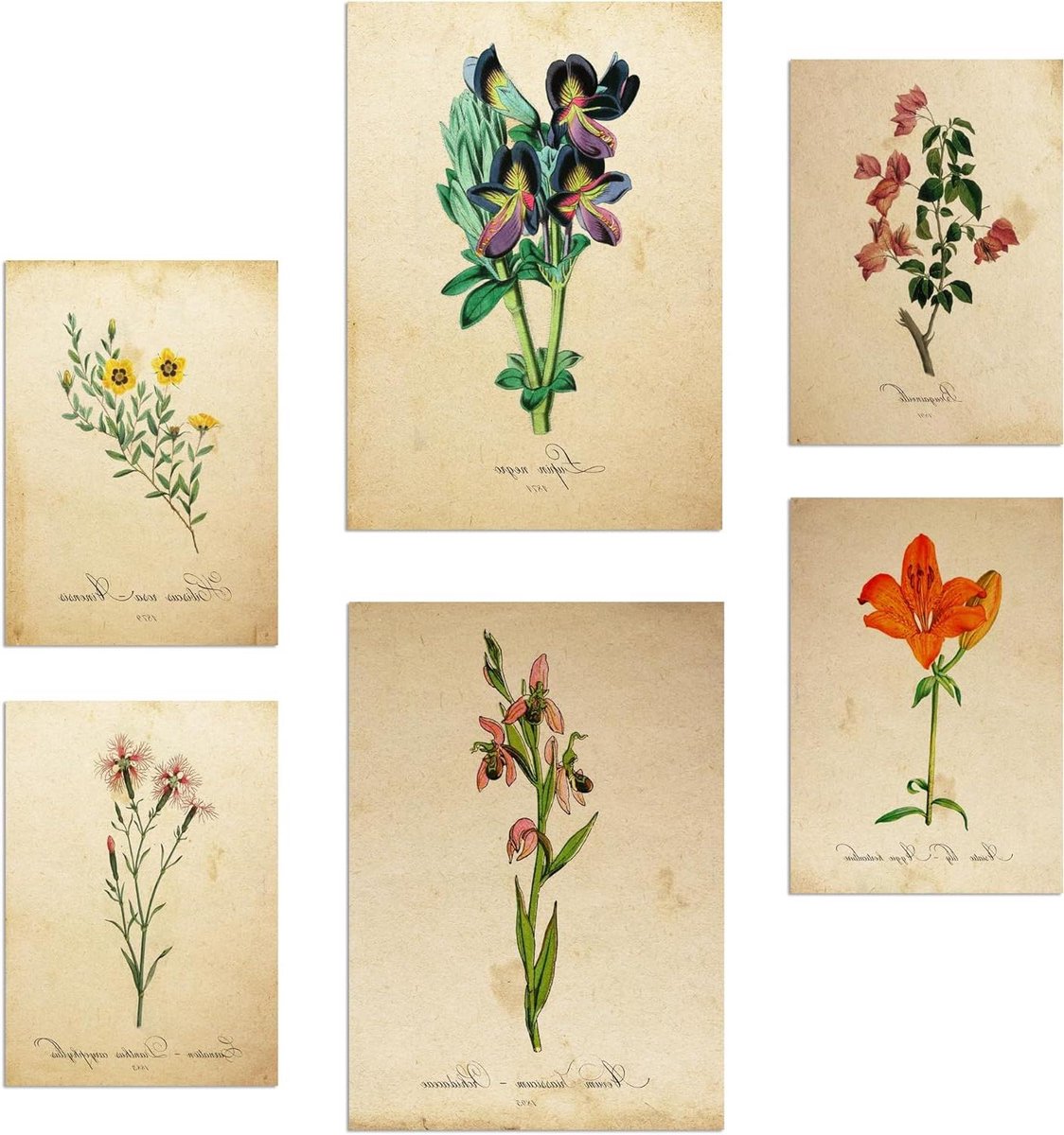 Botanica Lentetijd Posters - Wanddecoratie Botanisch - Huis Decoreren - Set van 6 prints - A3 en A4 - Groen
