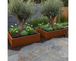 STEAEL CORTEA – Cortenstaal Plantenbak – 100 x 100 x 40 cm