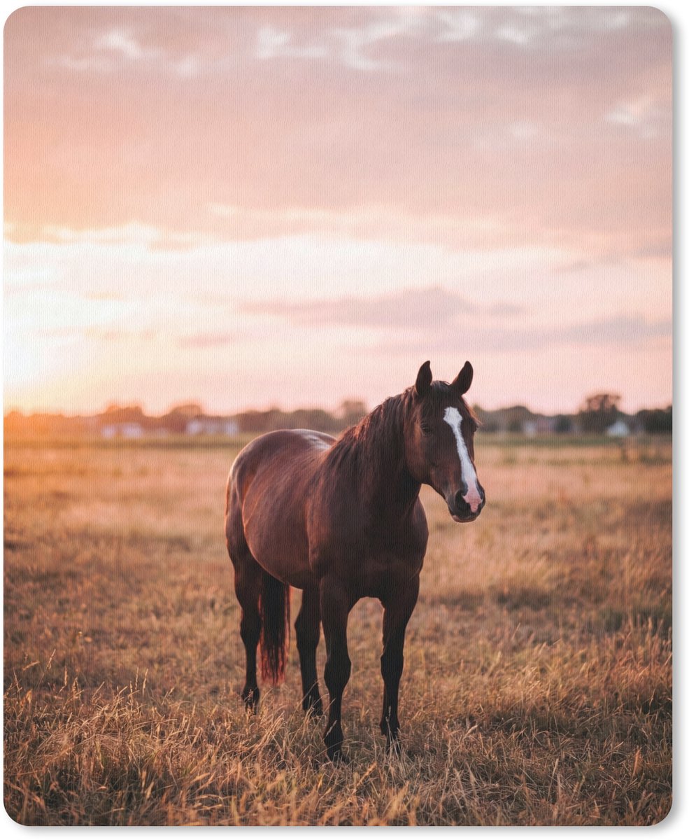 Muismat 12x16 cm - Mousepad Paard - Zonsondergang - Bruin - Muismatten