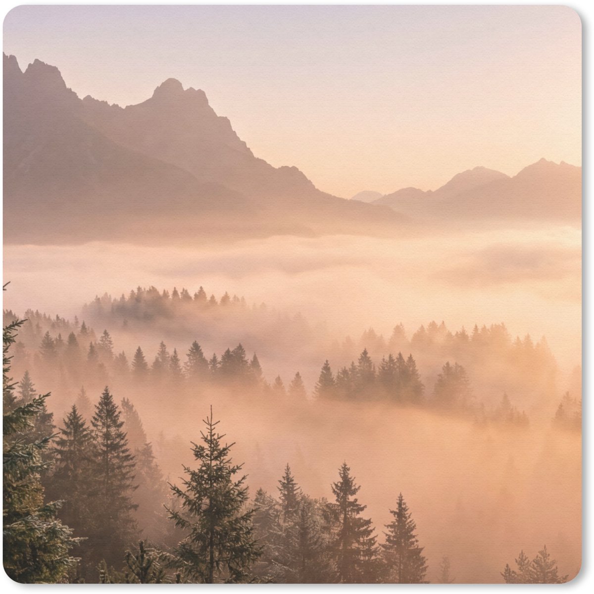 Muismat 30x30 cm - Mousepad Zonlicht - Mist - Bergen - Bomen - Muismatten