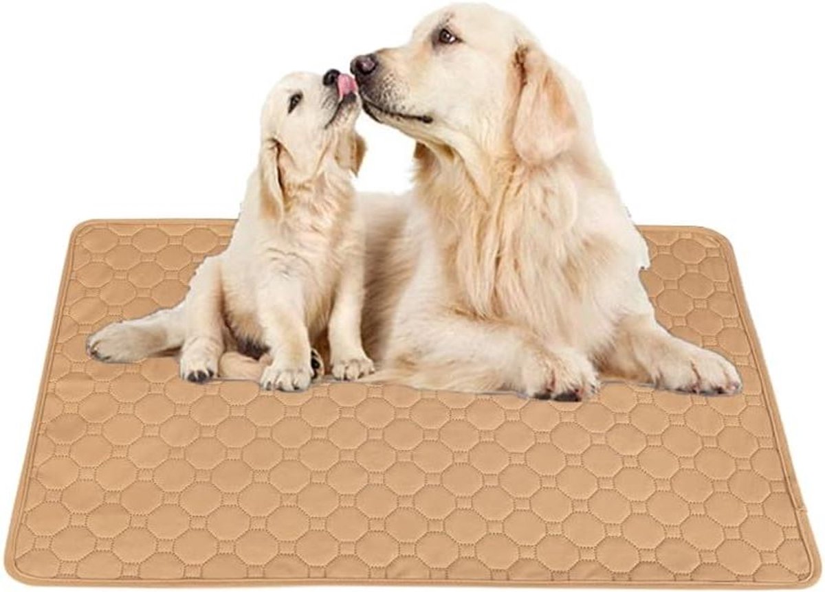 Waterdichte Hondendeken - Hondenmat Kattenmat - Meubels Beschermen - Vierlaags Absorberend - 35 x 50 cm - Khaki
