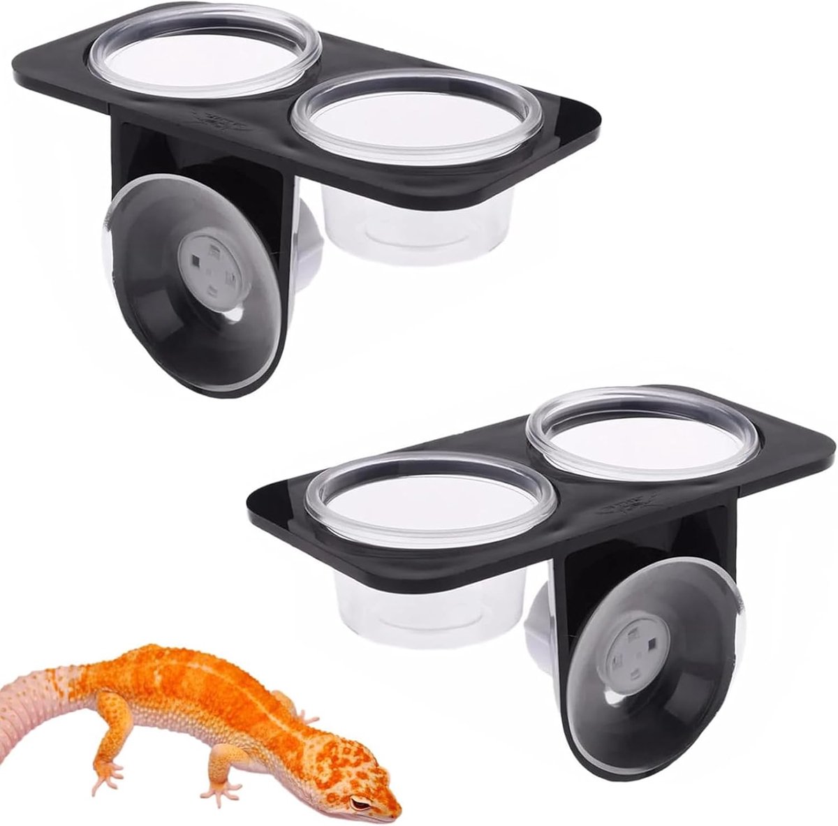 JeiibrZui Reptielen Voerbak - Klein - 2 Stuks Met Zuignap - Transparant Voor Gecko Hagedis Spin Terrarium