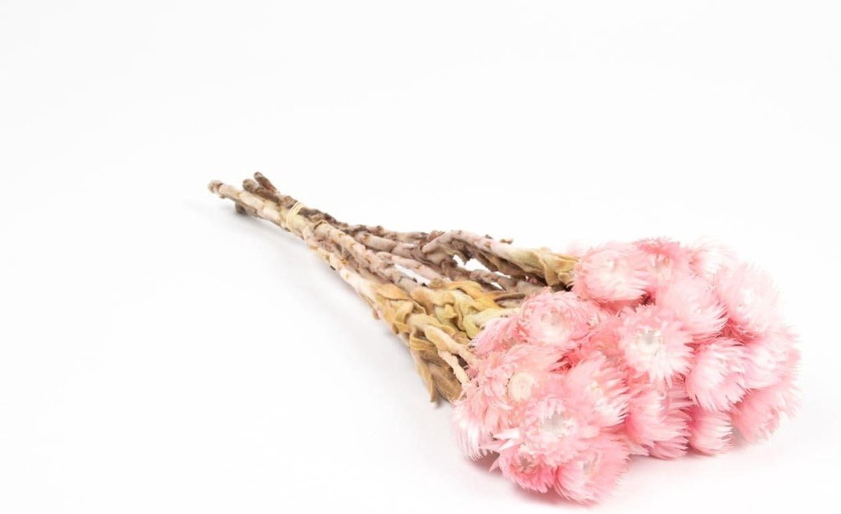 Gedroogd Boeket - Zonnebloemen Boeket - Woondecoratie - Natuurlijk - 30-40 cm - Zachtroze