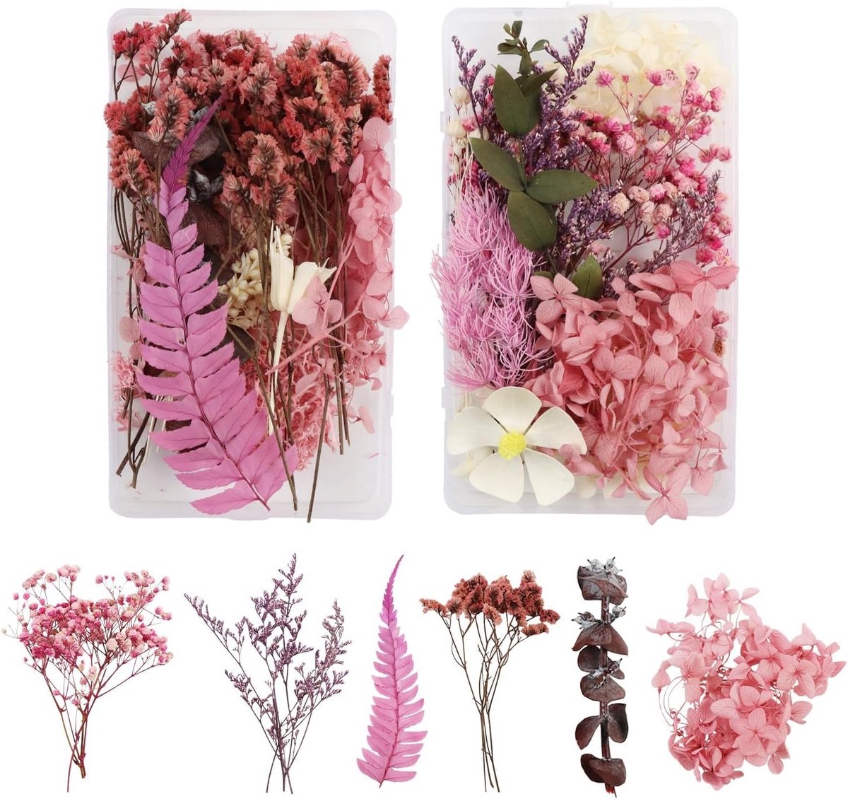 Pakket met 2 Natuurlijke Gedroogde Bloemen voor Creatieve DIY Projecten, Decoratie en Kaarten
