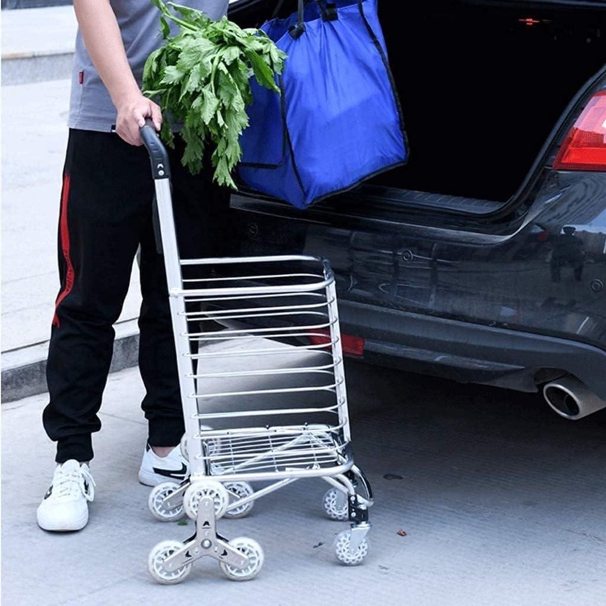 Boodschappentrolley - Kleine kar - Boodschappen doen - Opvouwbaar ontwerp - 101 cm hoog - Zwart