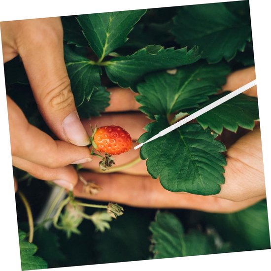 POPETPOP Handleiding Voor Planten 20-delige Set Fruit Groente Efficiëntie Tuinieren Accessoire van POPETPOP — afbeelding 3